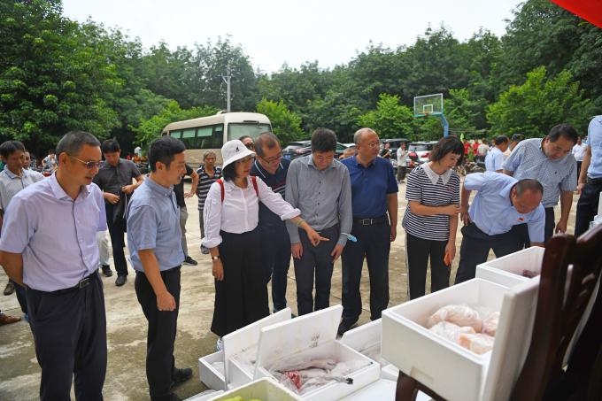 公司领导参与消费扶贫活动