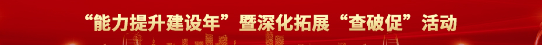 “能力提升建设年”暨深化拓展“查破促”活动