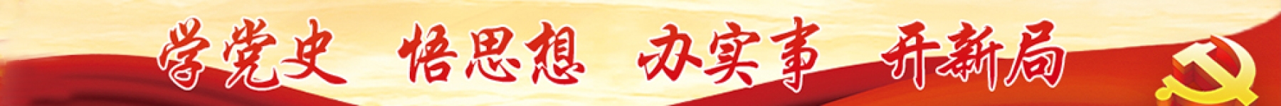学党史 悟思想 办实事 开新局