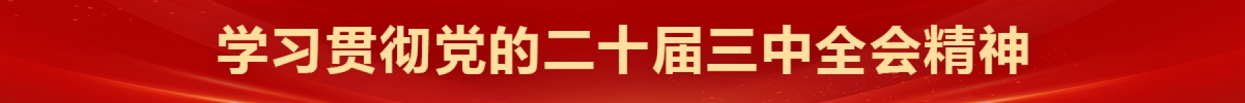 学习贯彻党的二十届三中全会精神