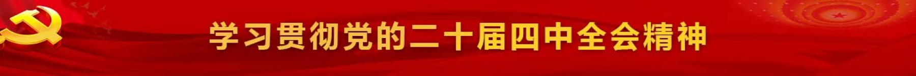 学习贯彻党的二十届四中全会精神