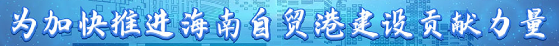 为加快建设自由贸易港做贡献