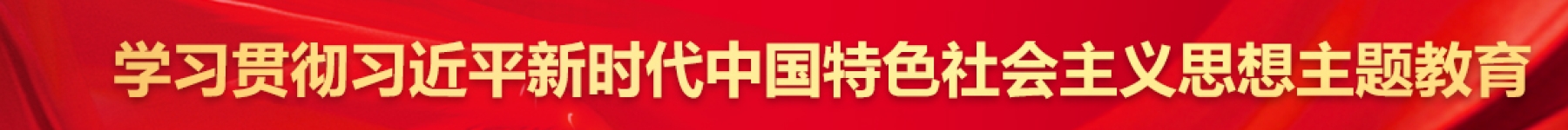 学习贯彻习近平新时代中国特色社会主义思想主题教育
