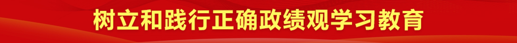 树立和践行正确政绩观学习教育