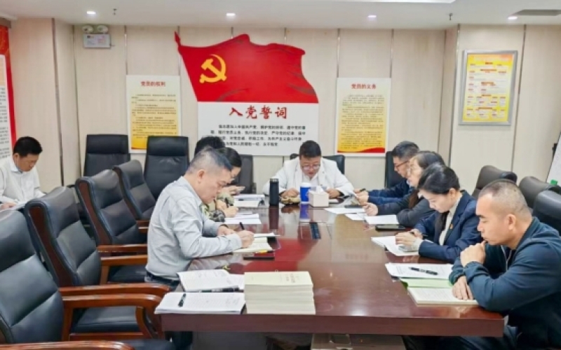 以学正风 实干为要&mdash;&mdash;海南高速各党支部扎实开展树立和践行正确政绩观学习教育