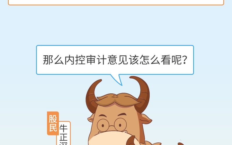 5·15投资者保护宣传日丨自律监管规则“知多少”系列：内控审计报告