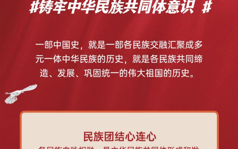 深化民族团结进步教育，铸牢中华民族共同体意识（二）