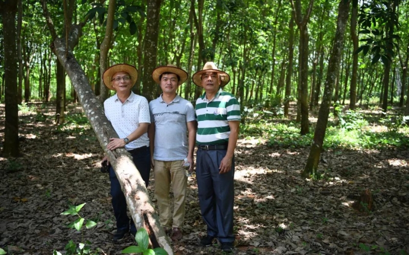奋楫争先正当时|乡村振兴驻村归来，他们这样说