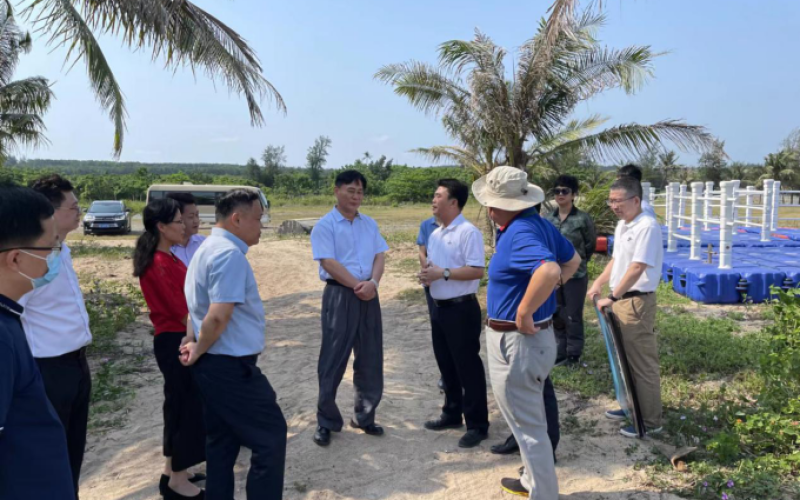 省人大常委会农村工委副主任张晋嘉考察文昌海钓休闲运动中心项目