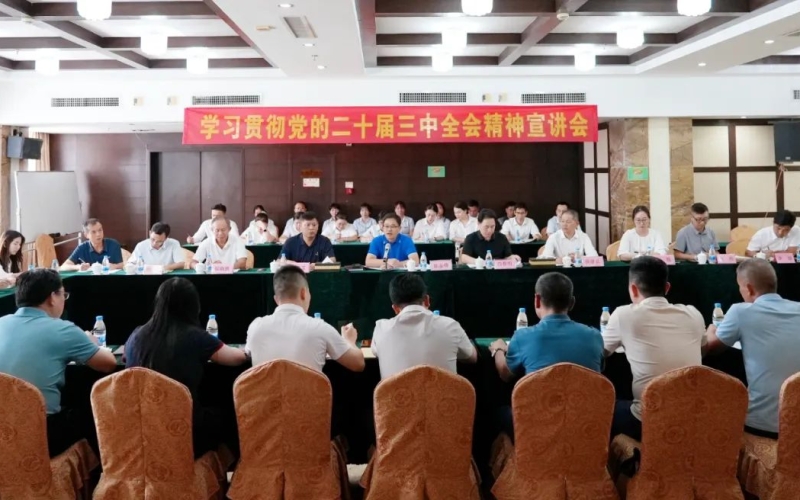 陈泰锋赴项目一线宣讲党的二十届三中全会精神并开展专题调研