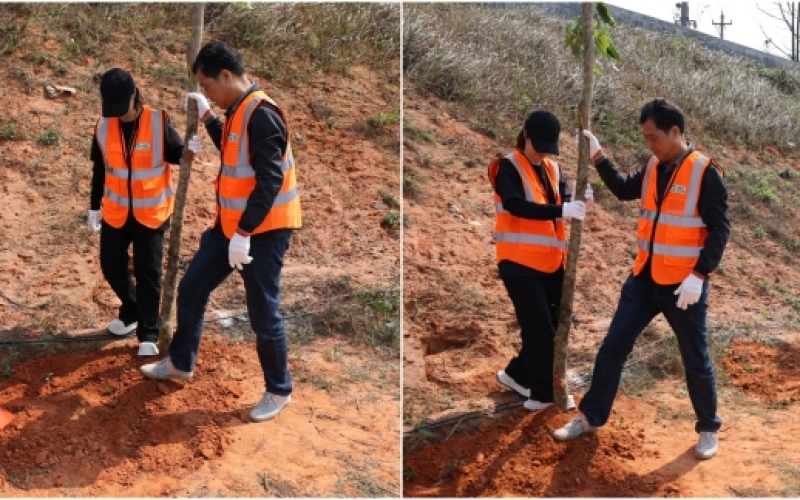 海南高速建设集团与中交公司联合开展“绿动未来·你我共植”植树节党建联建主题党日活动