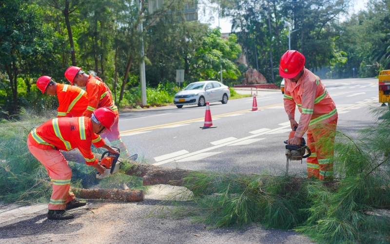 海南高速养护公司：以“畅安舒美”路域环境护航航海日盛会