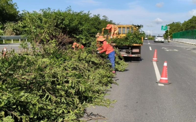 前置防控 严阵备战——海南高速养护公司全力织密“桦加沙”防御网