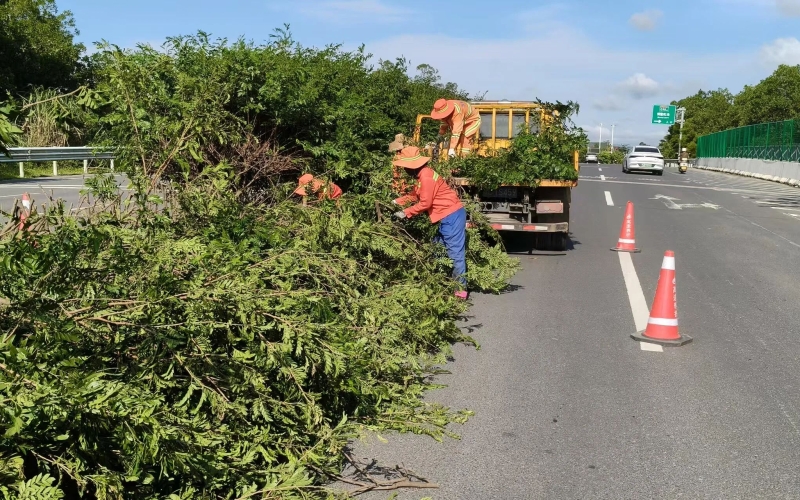 前置防控 严阵备战——海南高速养护公司全力织密“桦加沙”防御网
