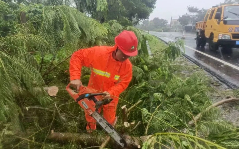 防御台风“麦德姆”，海南高速养护公司全力以赴