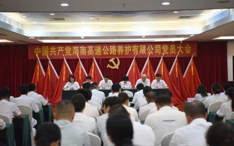 海南高速养护公司党总支圆满完成首届委员会选举工作